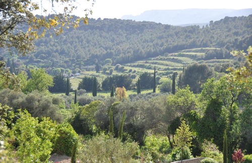 Cassis Bed & Breakfast | Mas du Perthus