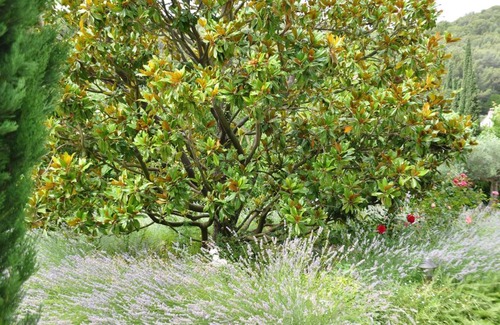 Cassis Bed & Breakfast | Mas du Perthus