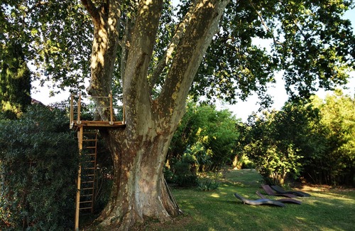 Arles House | Mas on large wooded plot with natural swimming pond.