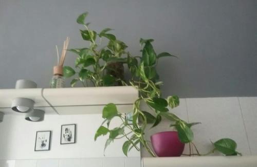 Peretola House | Mascagni Rooms