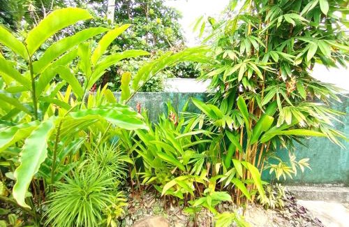 Midigama House | Mashi Home Stay