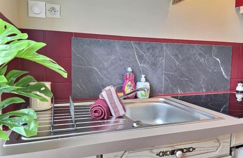 Macon Apartment | Matisco de Miss K parking gratuit 100m