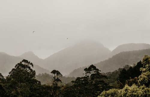 Mount Warning Apartment | Mavis's Cabins @ Mt Warning