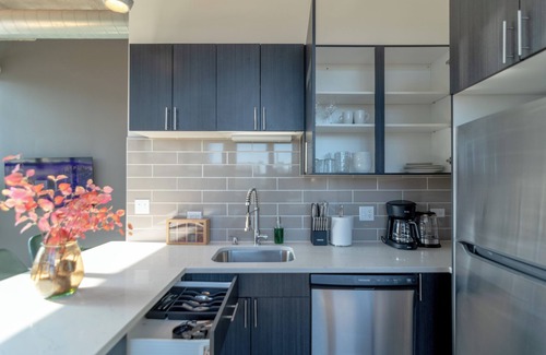 Near South Side Apartment | McCormick 2B/2Ba with optional parking for up to 6 guests