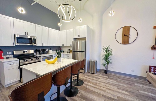 Near South Side Apartment | McCormick 6B/3Ba Luxury Suite for groups/12 guests