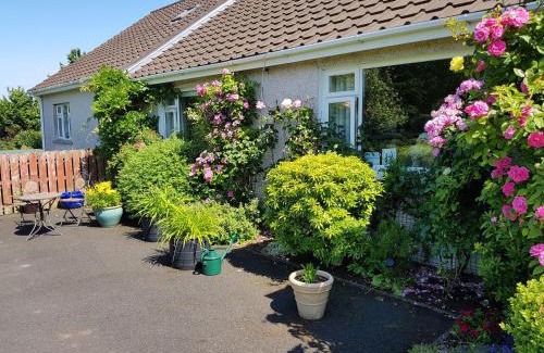 Lisnagunogue Bed & Breakfast | Meadow View B&B
