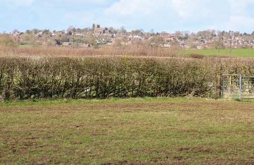 Whitchurch Cottage | MEADOWSWEET, pet friendly, with a garden in Malpas