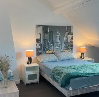 Meaux Apartment | MEAUX Centre Henri IV Vue CATHEDRALE Exeptionnelle