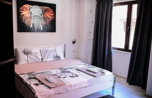 Sandanski Apartment | Medius Park Apartment