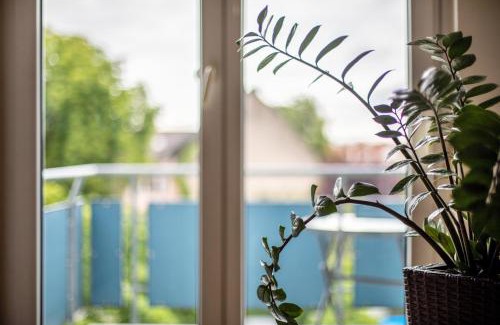 Breisach Apartment | Meienreis