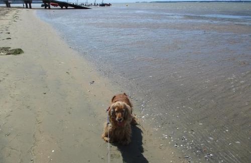 Ronce-les-Bains House | MER à 1mn ! book arnak tous les vacanciers ,TRES HAUTE SECURITE sur amivac, allez y !