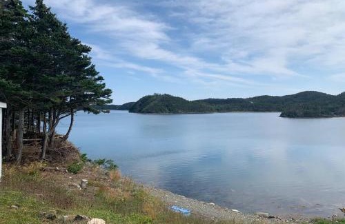 Newfoundland House | Merritt's Harbour Memories