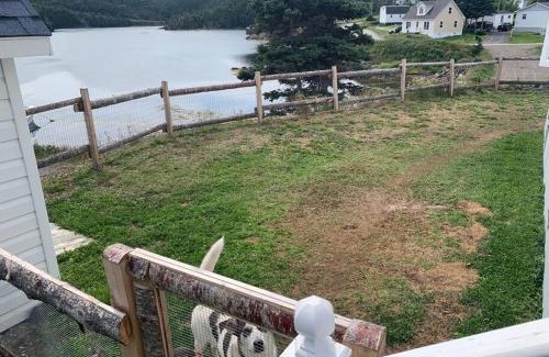 Newfoundland House | Merritt's Harbour Memories