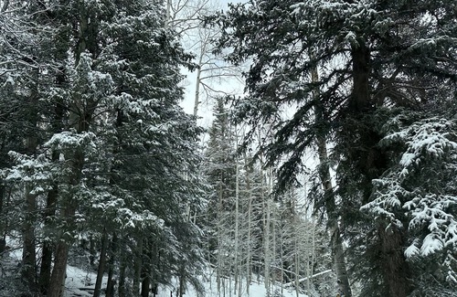 Placerville House | Mesa mountaintop getaway-close to Telluride