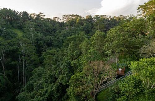Melayang Resort | Metland Venya Ubud