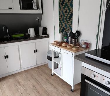 Maincy House | Mettez vous au vert près du château de Vaux le Vicomte en sous sol semi enterré