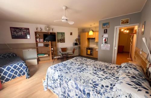 Nouvelle Ville Apartment | Metz gare arènes centre ville studio 40m2