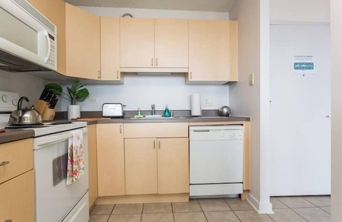South Loop Condo | MICH AVE #23 2bd/2ba Downtown, Museums w/Views