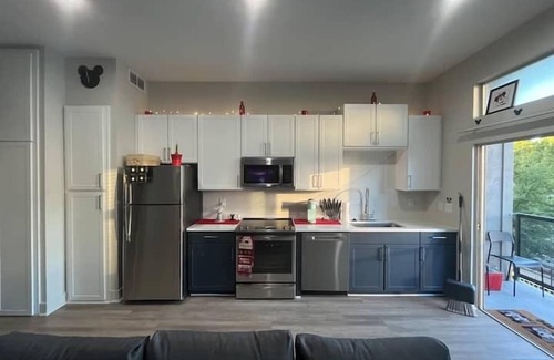 Deep Ellum Apartment | Mickey Magical 1BR Soft-Loft Deep Ellum