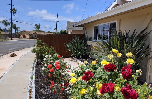 Clairemont Apartment | Mid Term Rental:Stylish Studio, Centrally Located in Quiet Safe Neighborhood