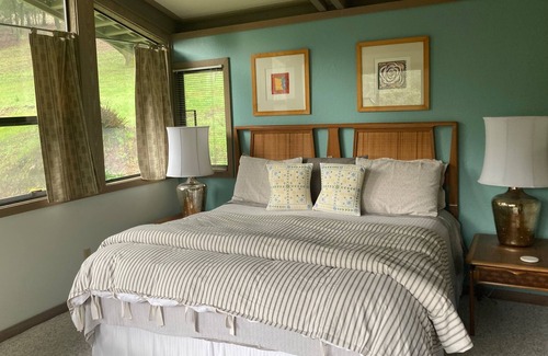 Santa Rosa Apartment | MidCentury Mod 1-bedroom apartment in rural Santa Rosa with WiFi