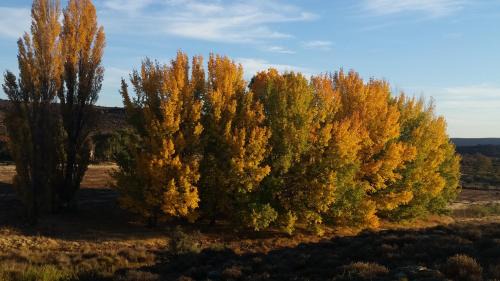 Karoo Hoogland Bed & Breakfast | Middelfontein Farm