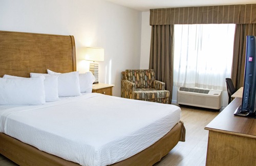 Encanto Hotel | Midtown Garden Phoenix Hotel