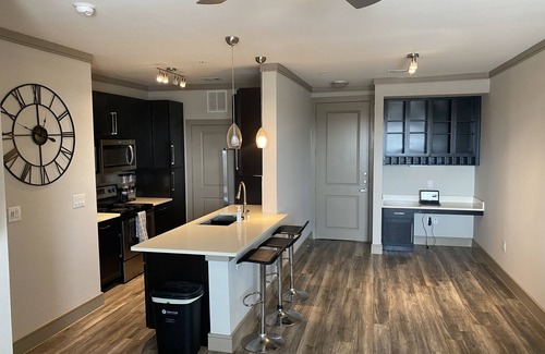 Montrose Condo | Midtown Highrise