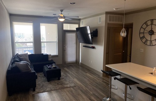 Montrose Condo | Midtown Highrise