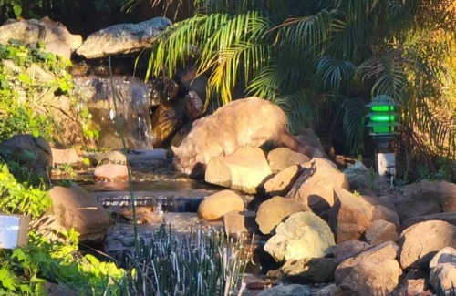 Chico House | Midtown Oasis - Pool - Hot tub - Outdoor Kitchen