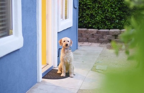 East Side Capistrano Cottage | Mile to Ocean! Fully Fenced Private SoCal Cottage