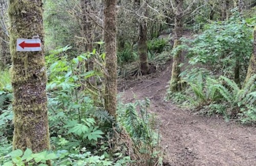Eddyville Cabin | Miles of trails, hot tub, sand volleyball court and 13 miles to beach