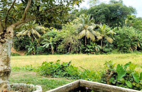 Mirissa House | Milk House Mirissa, Entire Home, Authentic Village