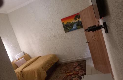 Downtown Johannesburg House | MILLY GUEST HOUSE