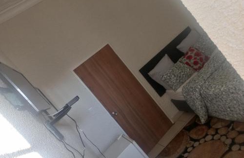 Downtown Johannesburg House | MILLY GUEST HOUSE