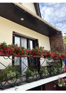 Drancy Bed & Breakfast | Mimimamy