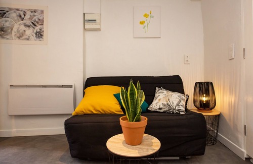 Grasse Apartment | Mimosa fragrance