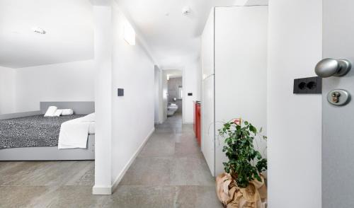 Marina Centro Apartment | Mini Suite (3 adulti)