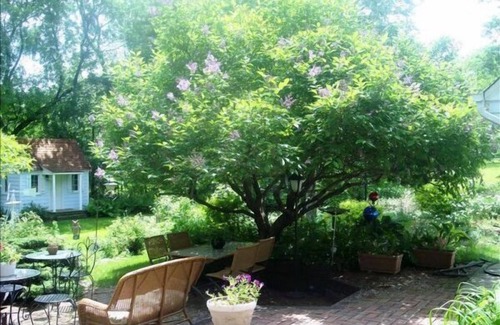 Minnetonka House | Minnetonka Secluded Cul-de-Sac 6 mi. to Mpls.-Gorgeous Acre near I-494 & I-394