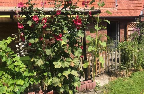 Horum Apartment | Minsener Warft