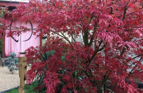 Thiers Bed & Breakfast | Minshuku Chambres d'hôtes japonaises