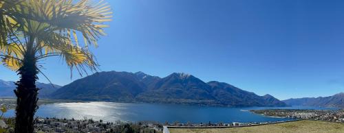 Minusio Apartment | Minusio - Locarno Casa del Nibbio