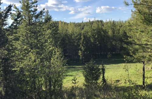 Coram Cabin | Minutes from Glacier Home; Views, Wildlife, Internet, and more!