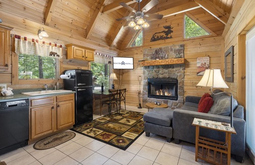 Ridgedale Cabin | Minutes to Big Cedar-Real Log Cabin-Free Silver Dollar Tickets-Pvt Hot Tub @ Lil Treehouse