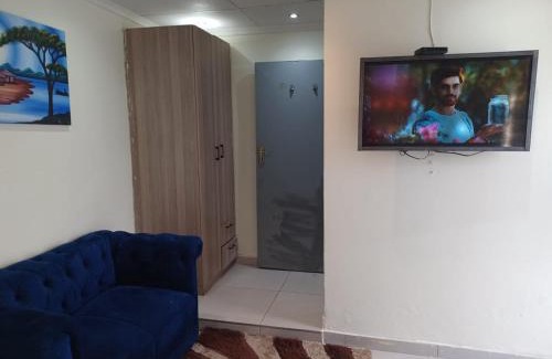 Greater Johannesburg Metropolitan Area Apartment | Mira