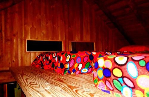 Papare House | Miradores Del Oso Perezoso