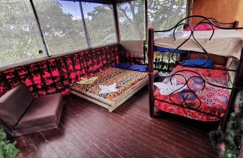 Papare House | Miradores Del Oso Perezoso