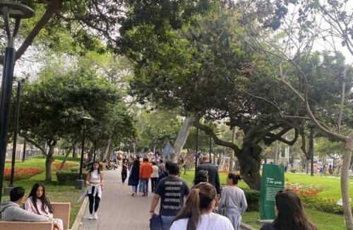 Miraflores Apartment | Miraflores - Beautiful and Private Guest Room