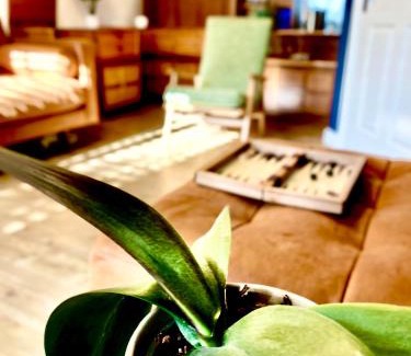 Blyth House | #MirrorSands