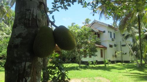 Hettimulla House | Mishthana Canal Resort